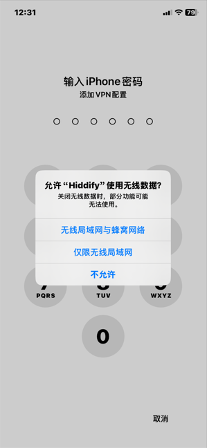 Hiddify 快速开始图片 32