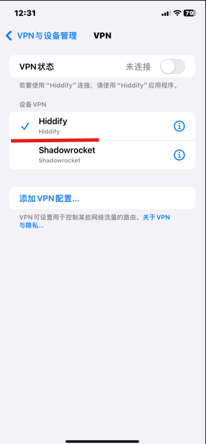 Hiddify 快速开始图片 33